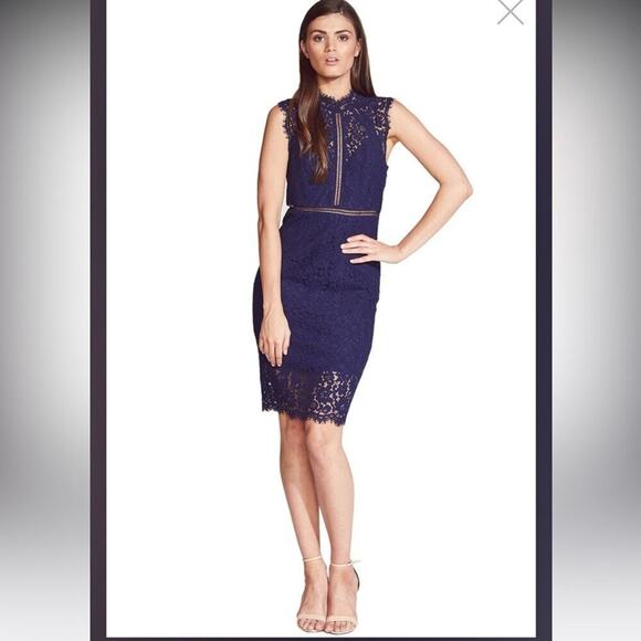Bardot Navy Blue Lace Sheath Panel Dress Size Medium - Picture 1 of 14
